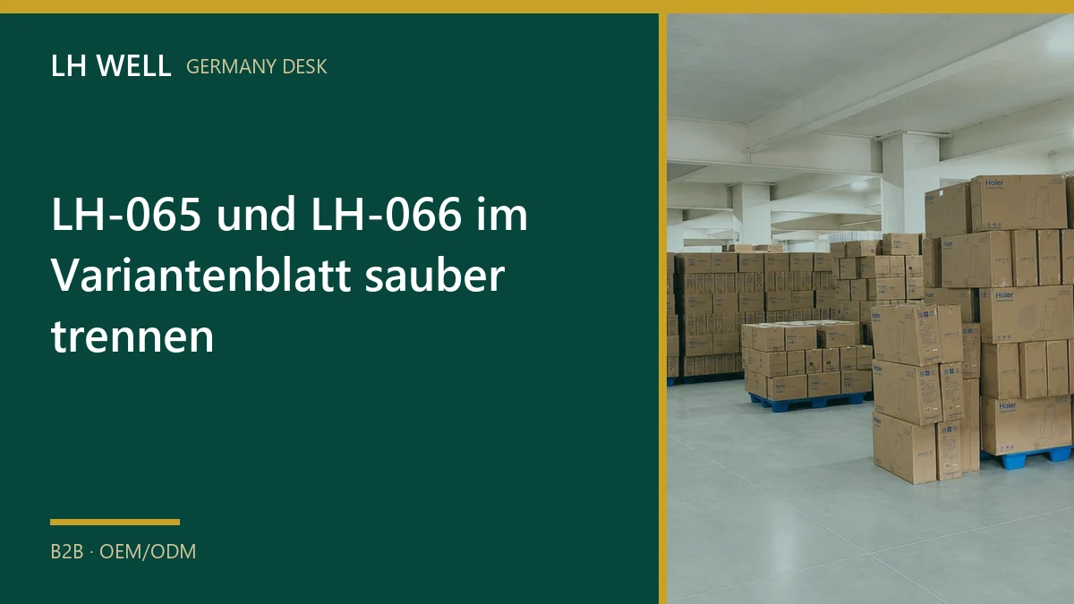 LH-065 und LH-066 im Variantenblatt sauber trennen – B2B-Prüfung und Beschaffung